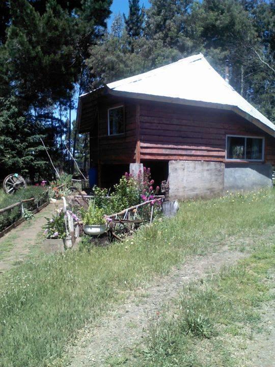 Cabanas Huilipan Gonzalez Nueva Imperial Esterno foto