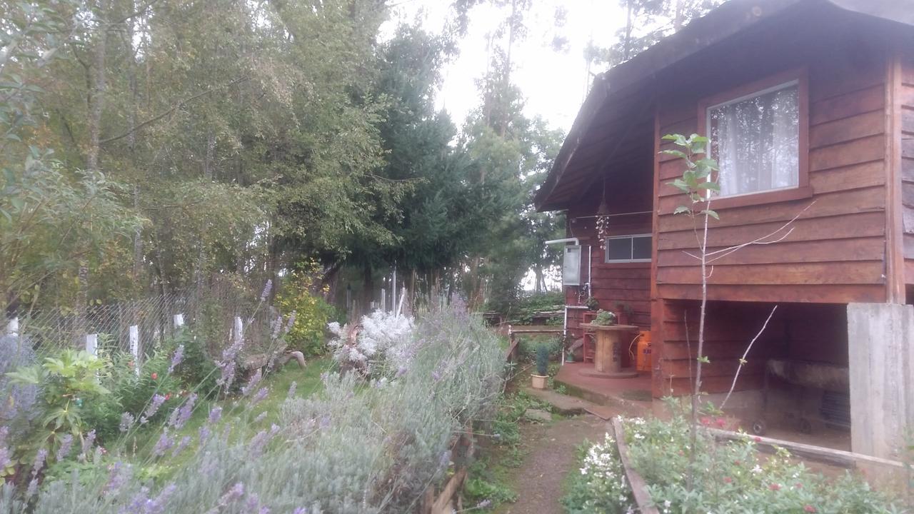 Cabanas Huilipan Gonzalez Nueva Imperial Esterno foto